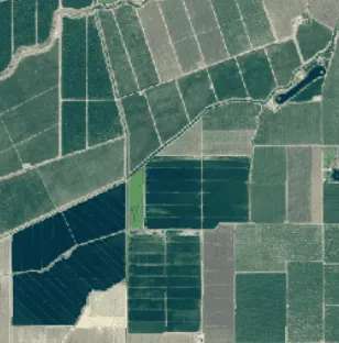 Nature Grid