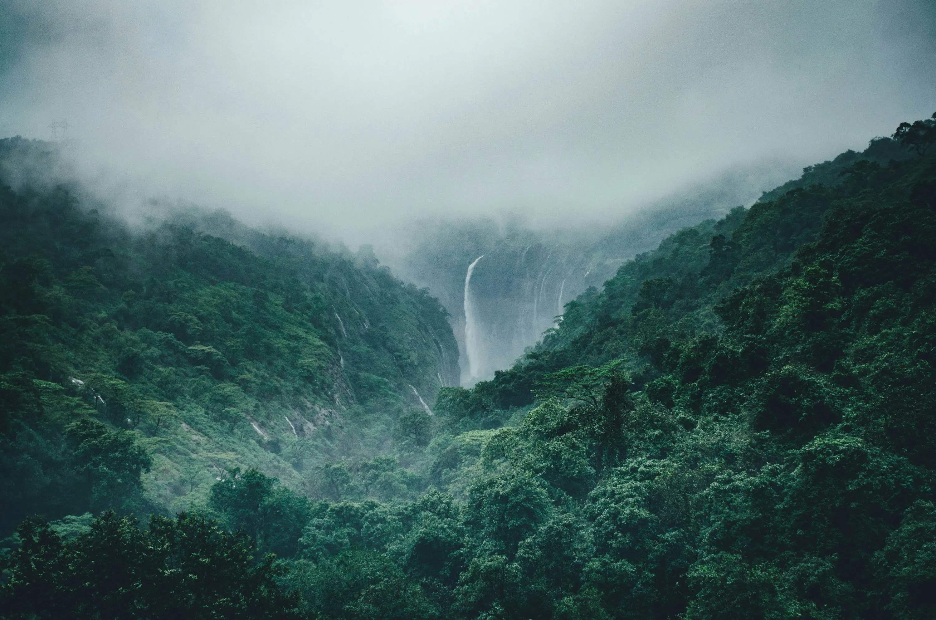 Nature background